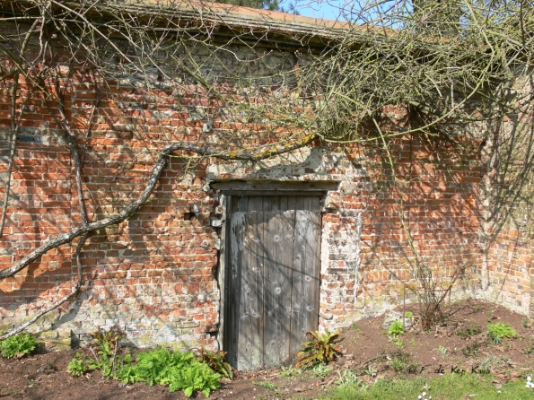 Bois des Moutiers (84) mars 2012